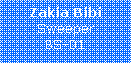 Text Box: Zakia BibiSweeperBS-01
